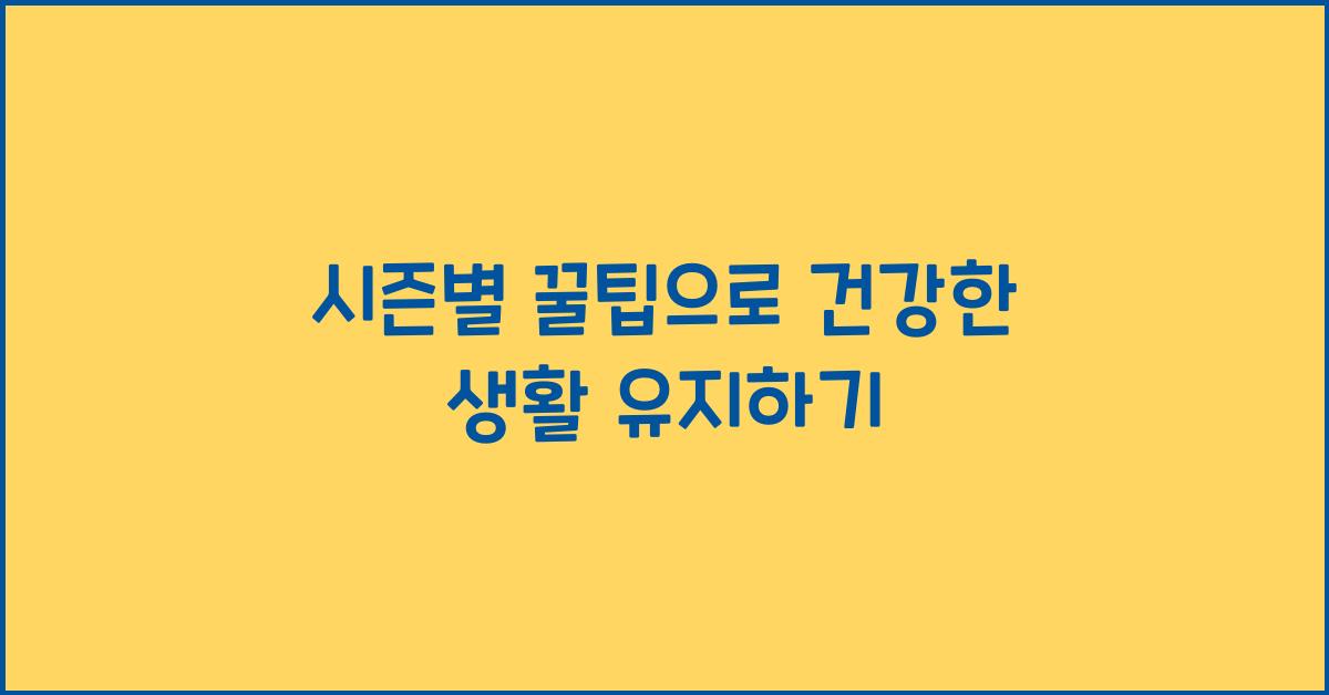시즌별 꿀팁