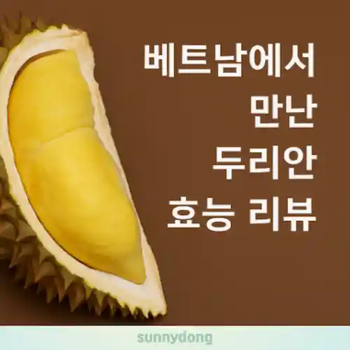 두리안 건강 효능 가이드 썸네일