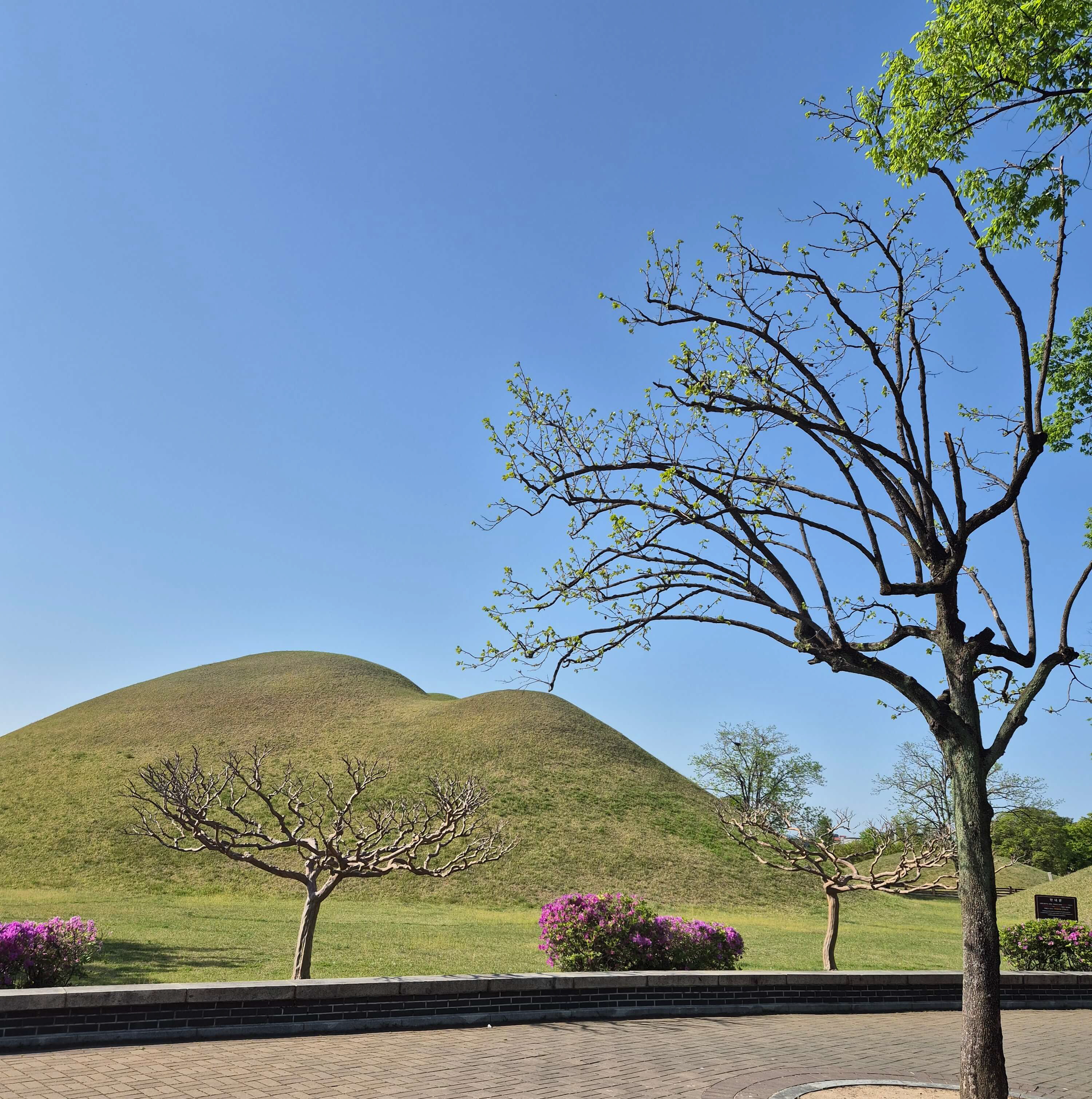 경주 여행, 황리단길, 야경 명소, 버스이동방법