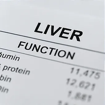 알부민의 효능8