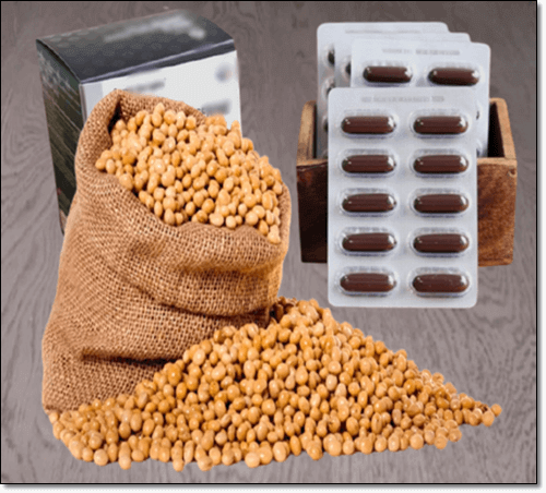 포스파티딜세린 콩