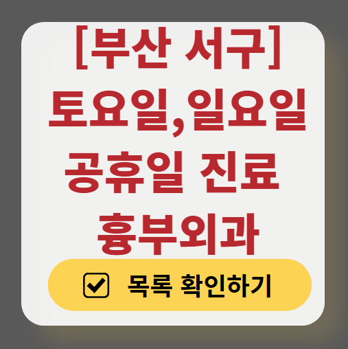 부산 서구 주말 토요일 일요일 흉부외과 진료 병원 목록 ❘ 공휴일 진료 영업 병원 리스트 찾기