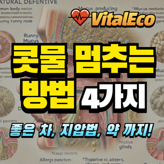 콧물 멈추는 방법 알아보기