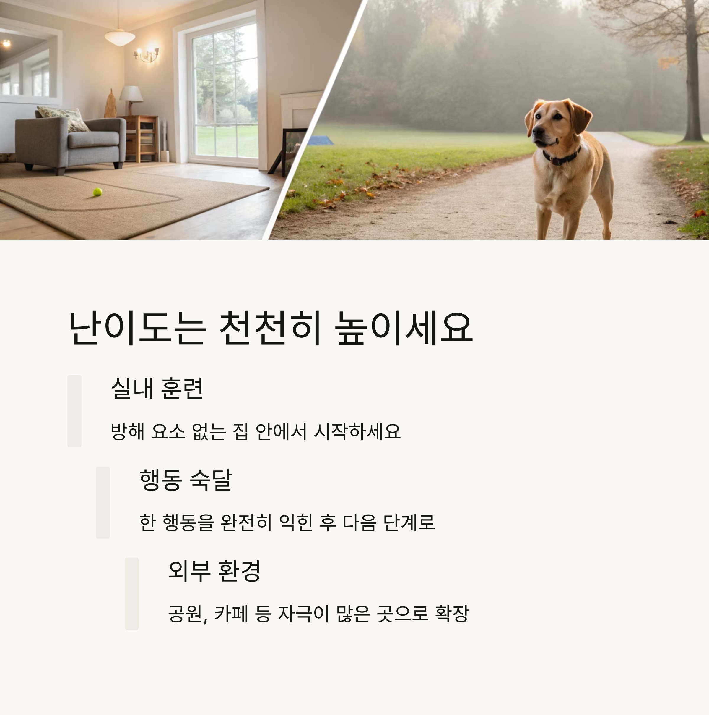 난이도는 천천히 높이세요