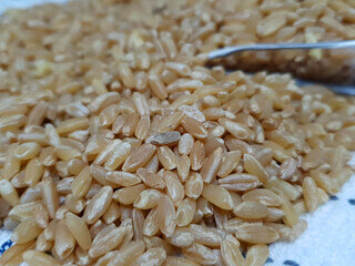 카무트 효능과 호라산밀 효능과 부작용에 대해 알아봤습니다