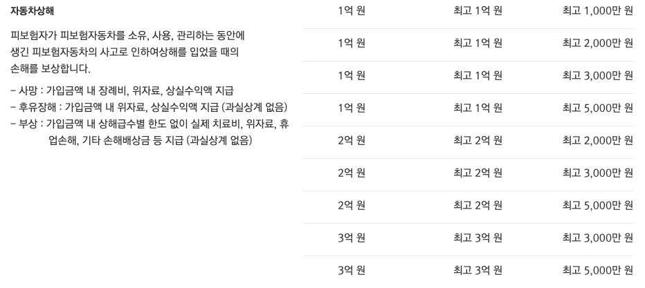 메리츠다이렉트자동차보험_보장내용