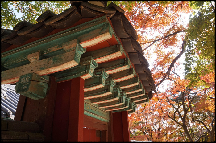 경주 가을여행 추천코스 (단풍,불국사,야경)
[디스크립션: 주제 소개]