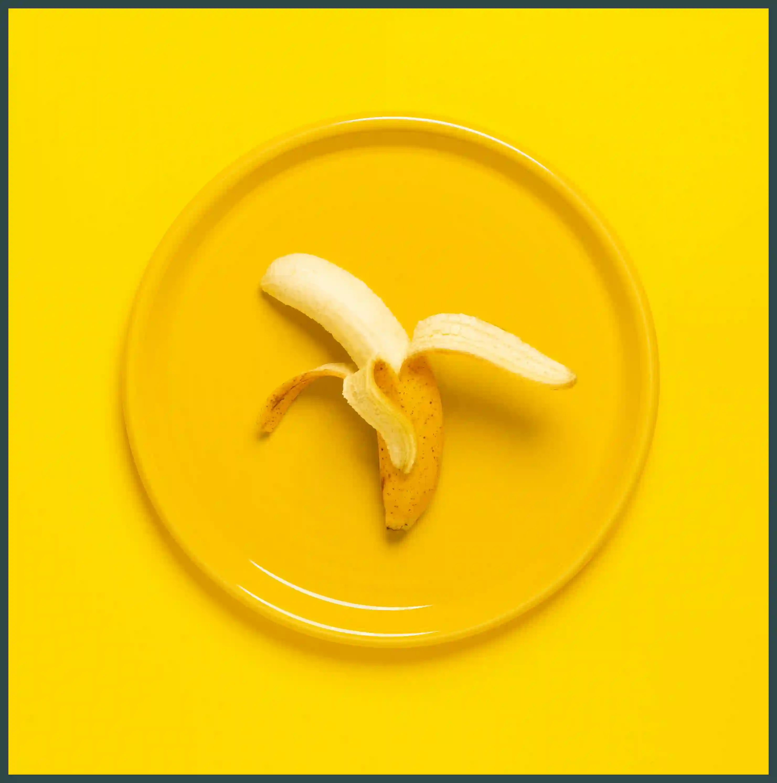 강아지 바나나 줘도 되나요? 급여 방법과 주의사항 