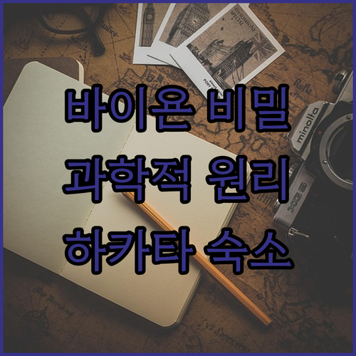 아이와 캄보디아 바이욘 사원 역사 탐..