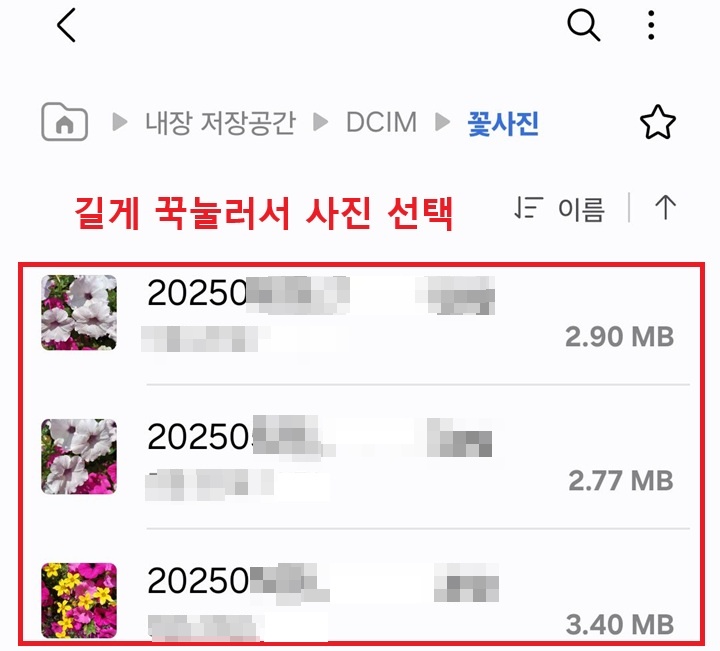 압축할 사진들 보임