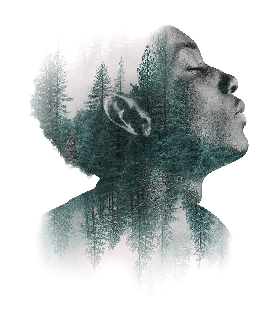 인간이 진화를 하며 사라진 냄새로 길을 찾는 능력.