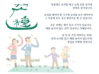 망종 절기 망종의 뜻 전통음식 매실청 담그기_27