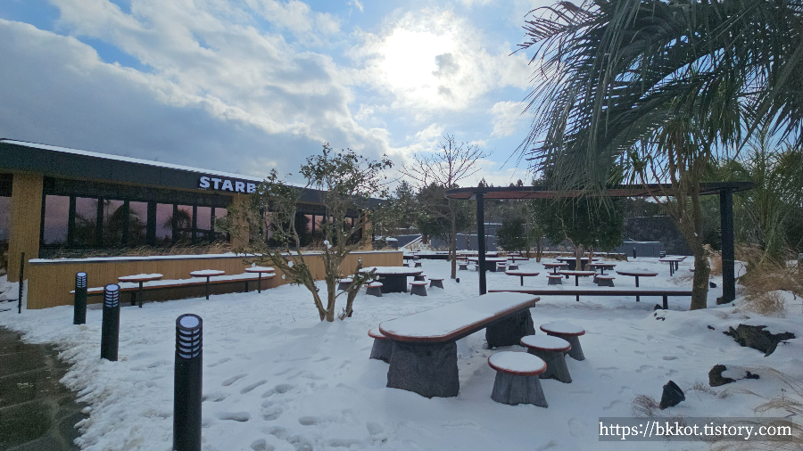 스타벅스 제주금악DT점