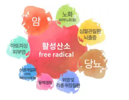 활성산소 줄이는 방법 알아보기
