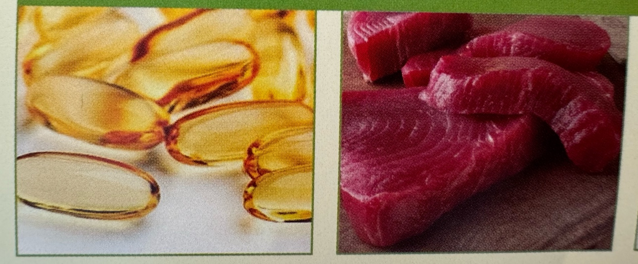 오메가 3 주요 공급원 1 