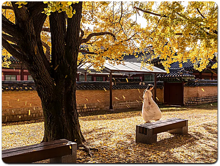 기와집 옆 공주