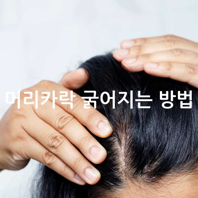 머리카락 굵어지는 방법과 가늘어지는 이유
