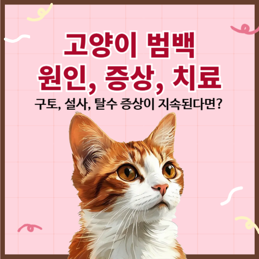 고양이 범백