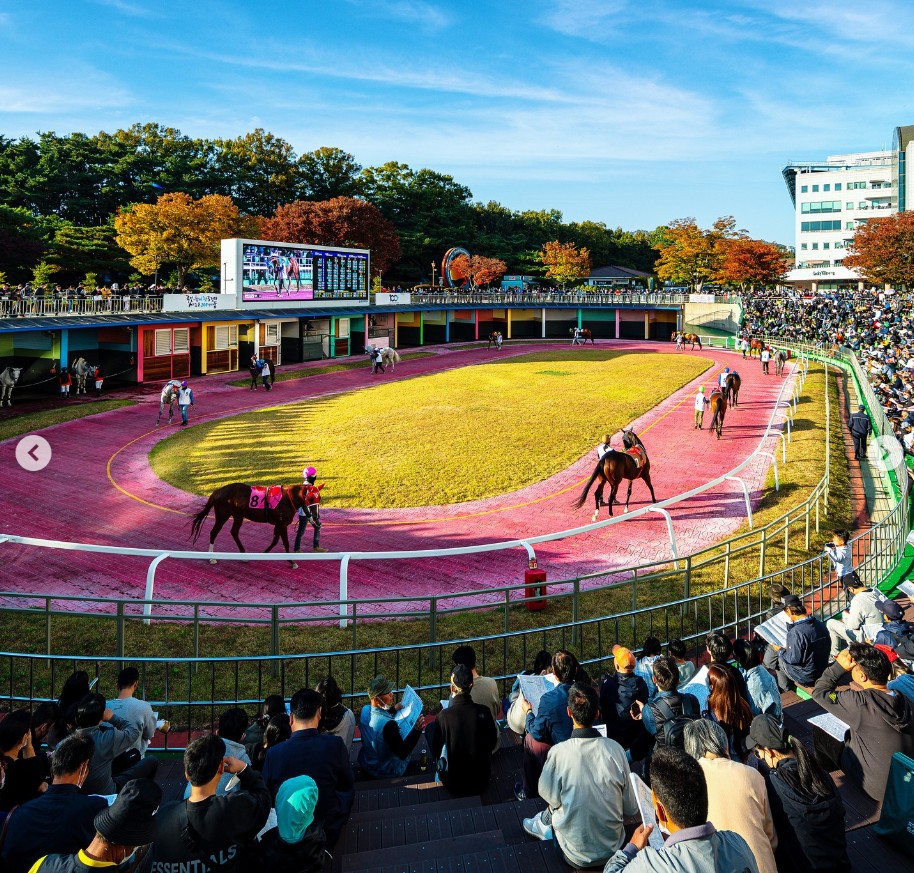 렛츠런 파크 서울 벚꽃 축제
