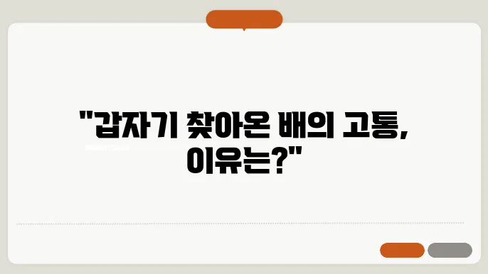 갑자기 배아플때