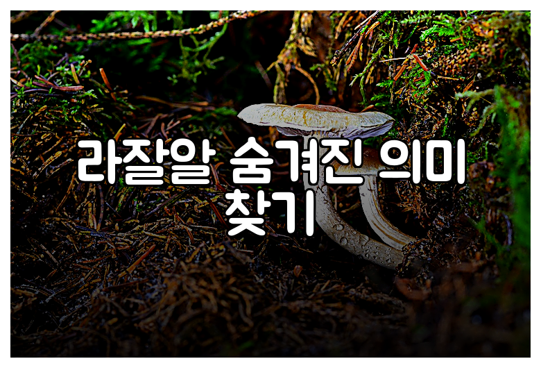 라잘알 숨겨진 의미 찾기