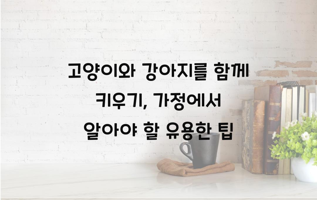 고양이와 강아지를 함께 키우기, 다묘·다견 가정 필독 가이드