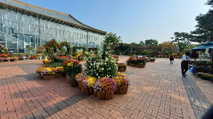 화성_우리꽃식물원_국화전시회