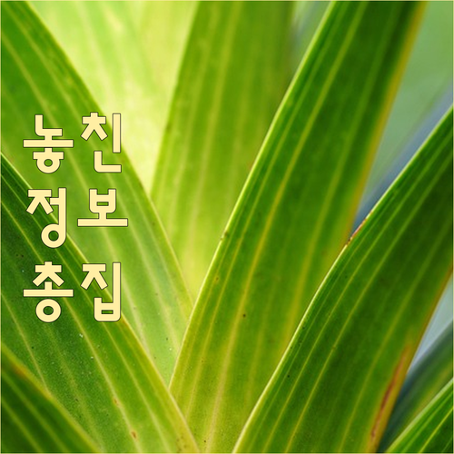 깨끗한 동산동 만들기 쓰레기 분리배출..