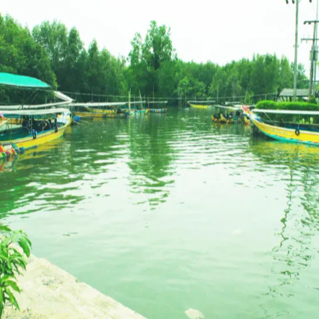 대학생 항공권 관련 사진