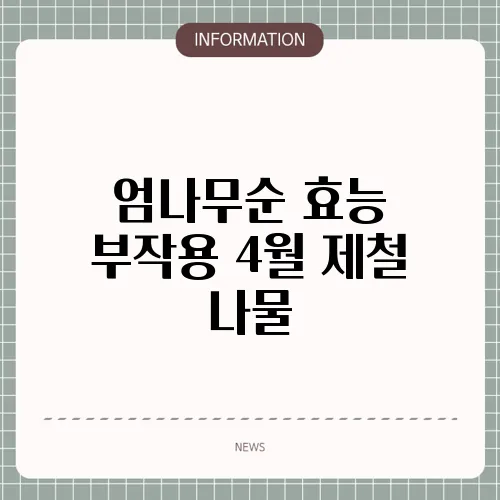 엄나무순 효능 부작용 4월 제철 나물