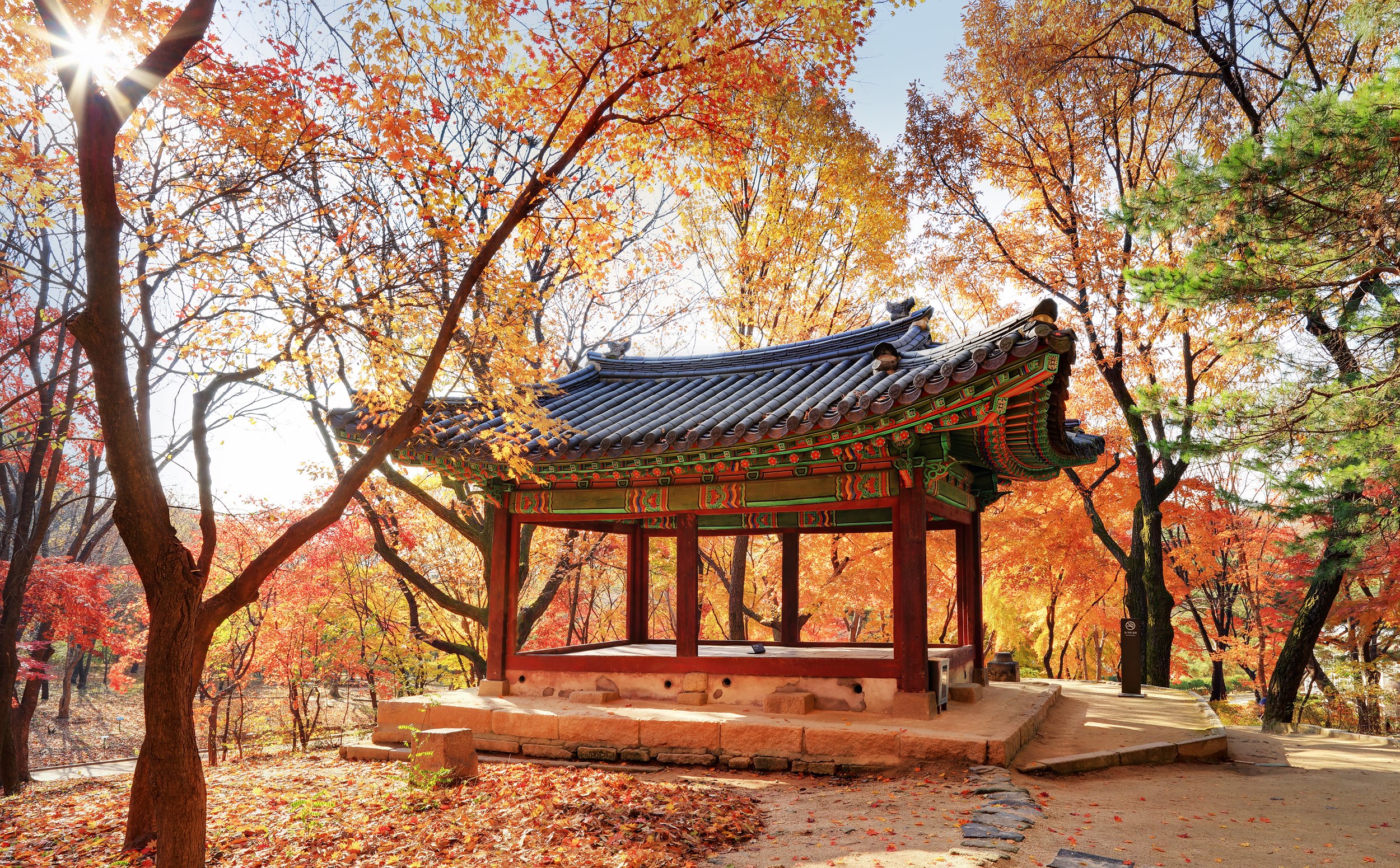가을 축제 : 가을 여행