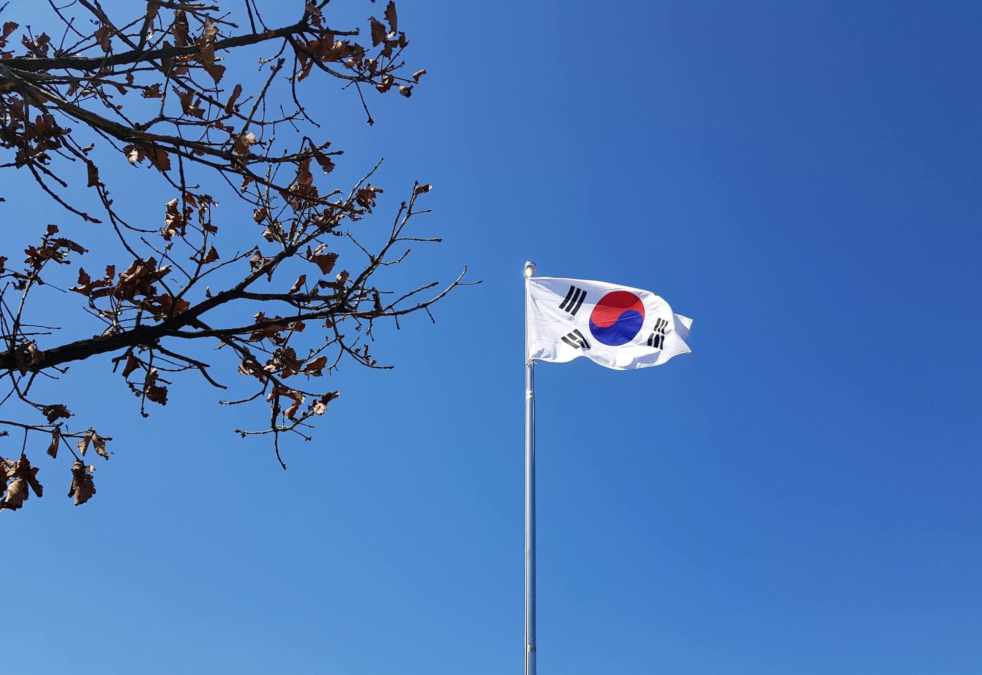 3.1절 의미와 유래, 공휴일 이유 정리 (삼일절 왜 쉴까?)