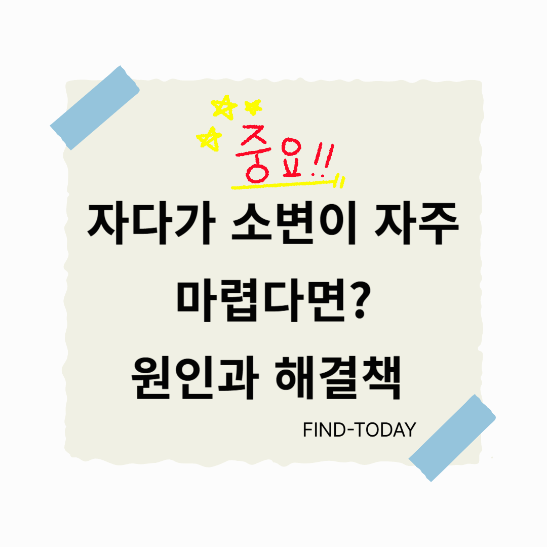 자다가 소변이 자주 마렵다면? 원인과 해결책