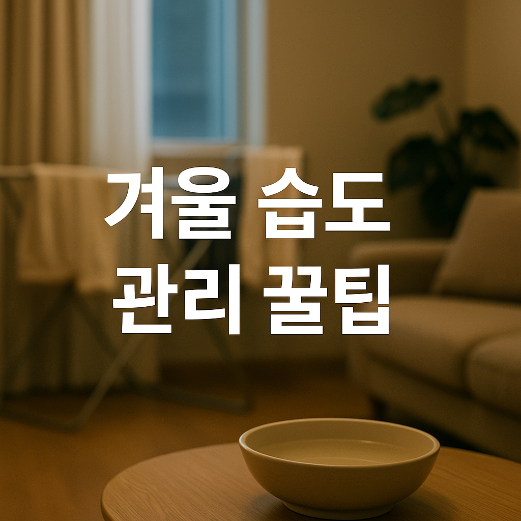 겨울 습도 관리 꿀팁