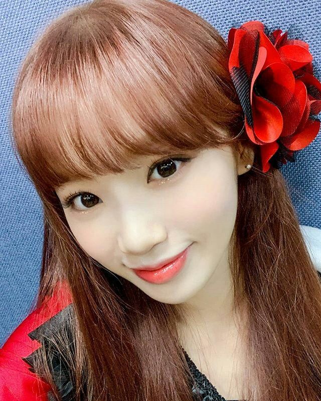 김채원 사진 모음
