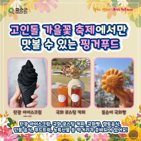 화순 고인돌 가을꽃 축제