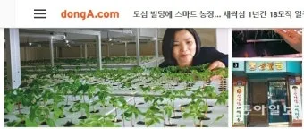 동아 재배 덩굴 손질 지주 설치 수분 관리_2