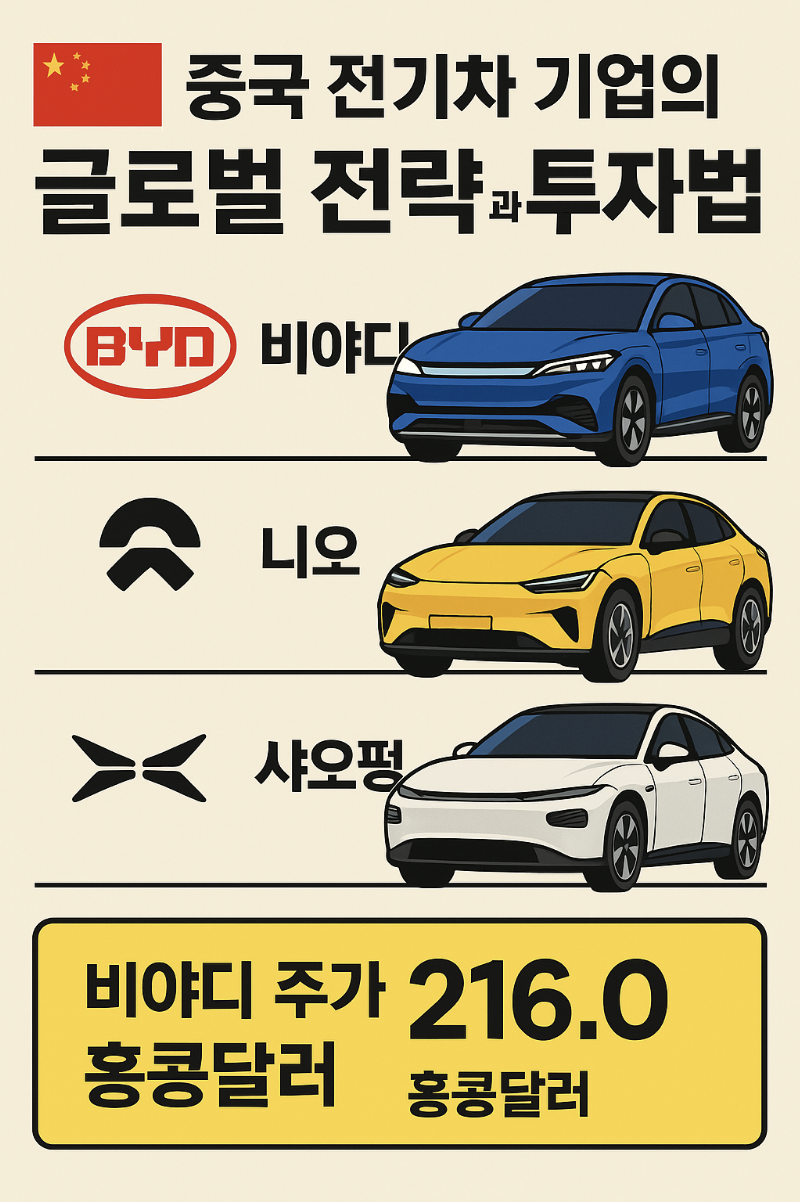 중국 전기차