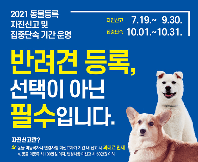 서울시 동물 등록 자진 신고 안내 알아보기