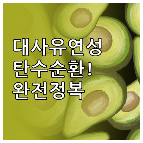 대사 유연성 높이는 탄수화물 순환 다..