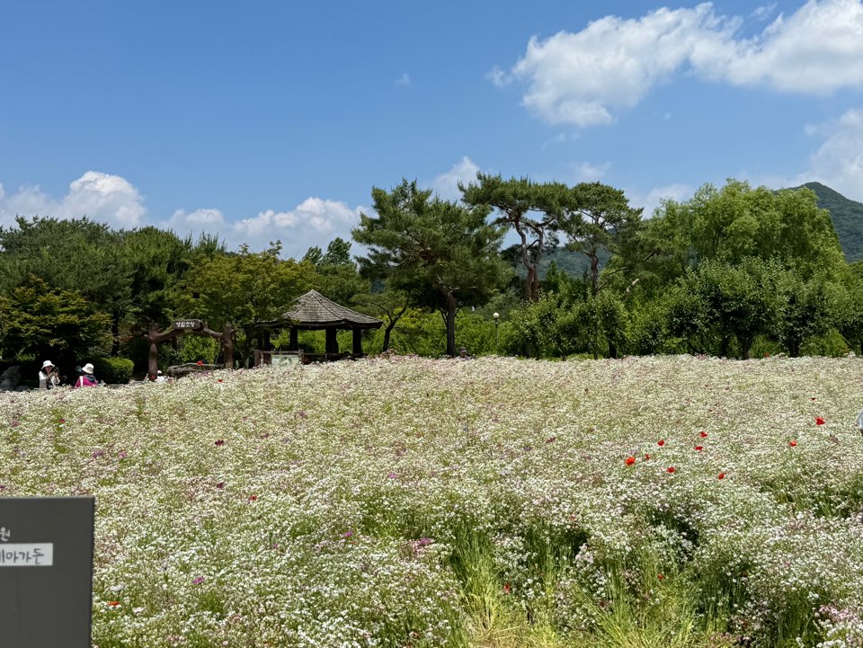 서울대공원