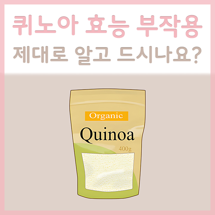 퀴노아