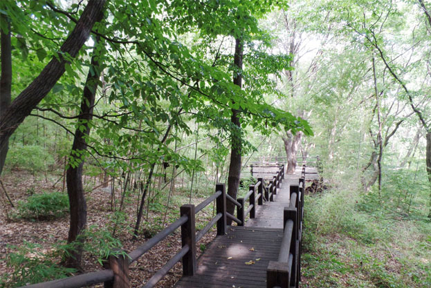 오서산자연휴양림 자주묻는질문