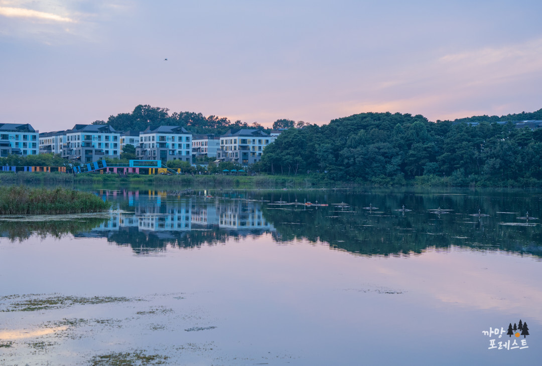 동탄 호수공원 일몰