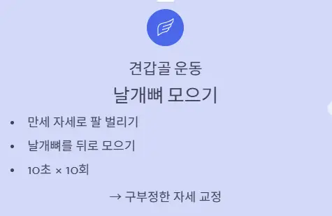 견갑골 운동