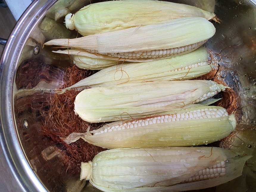 옥수수맛있게삶는법