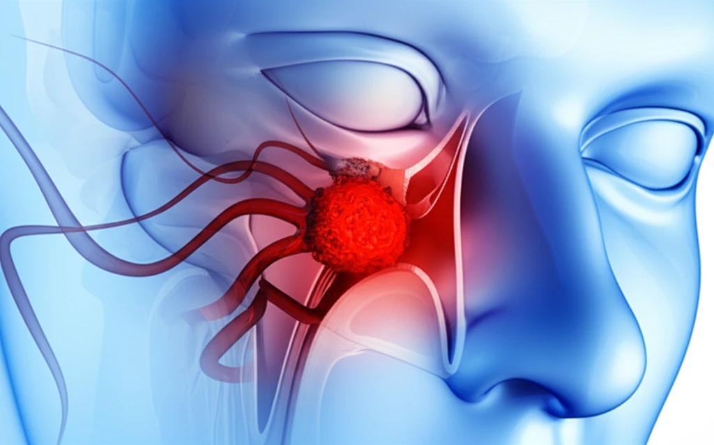 만성 코막힘 해소 비염 축농증 진단부..