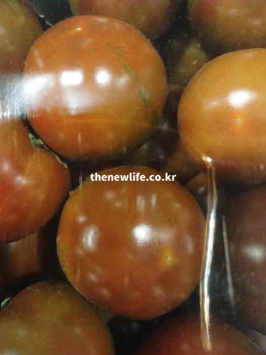 흑토마토 효능 시력 보호 베타카로틴 성분