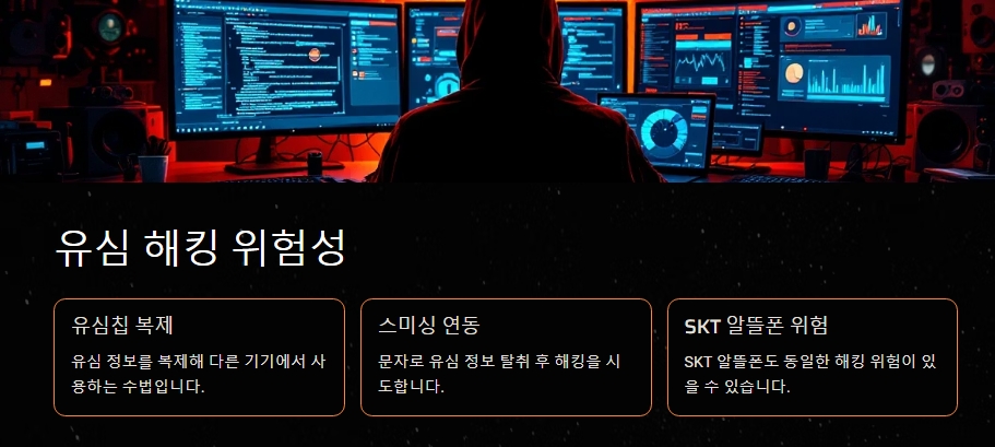 &quot;유심 해킹 위험성&quot;
유심의 해킹 경우에 대한 설명이미지