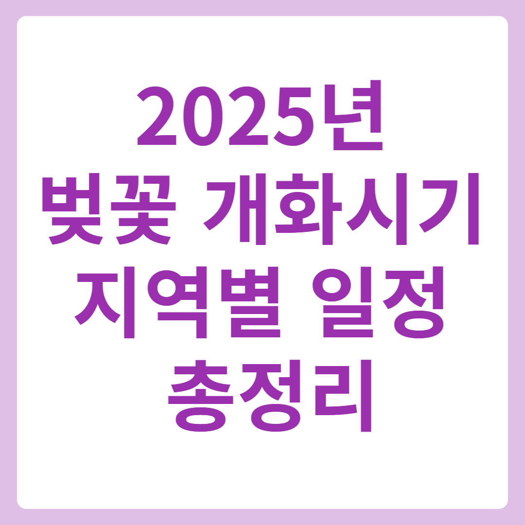 벚꽃개화시기
